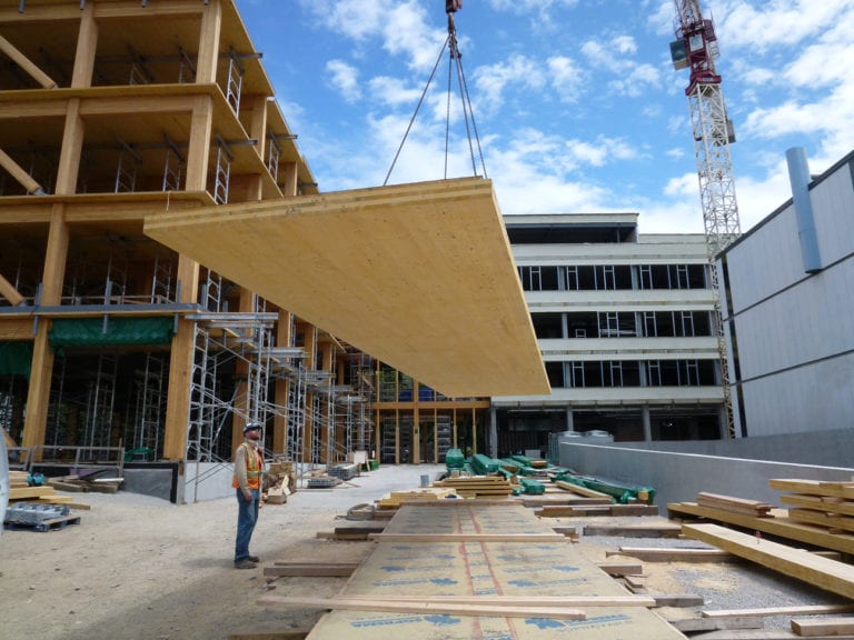 Cross Laminated Timber CLT Fast Epp